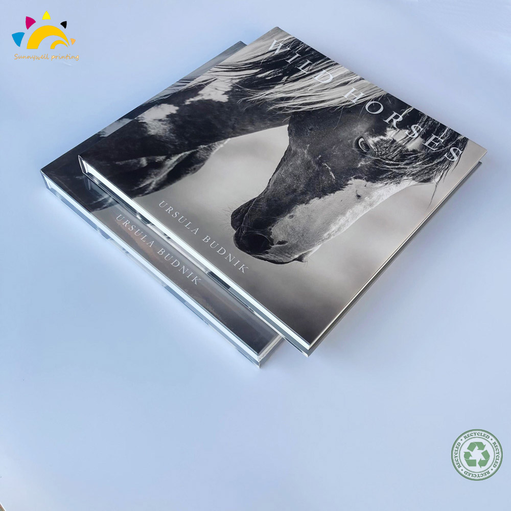 Factory d'impression de livre photo professionnel en gros